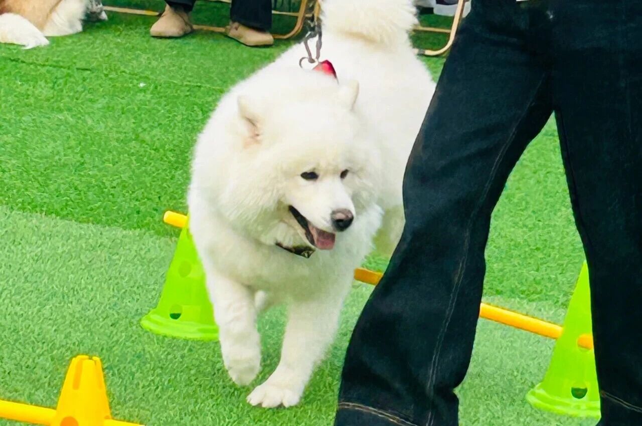 welcometo½Ó´ý¹âÁÙ888¼¯ÍÅ(Öйú)ÓÐÏÞ¹«Ë¾¹ÙÍø