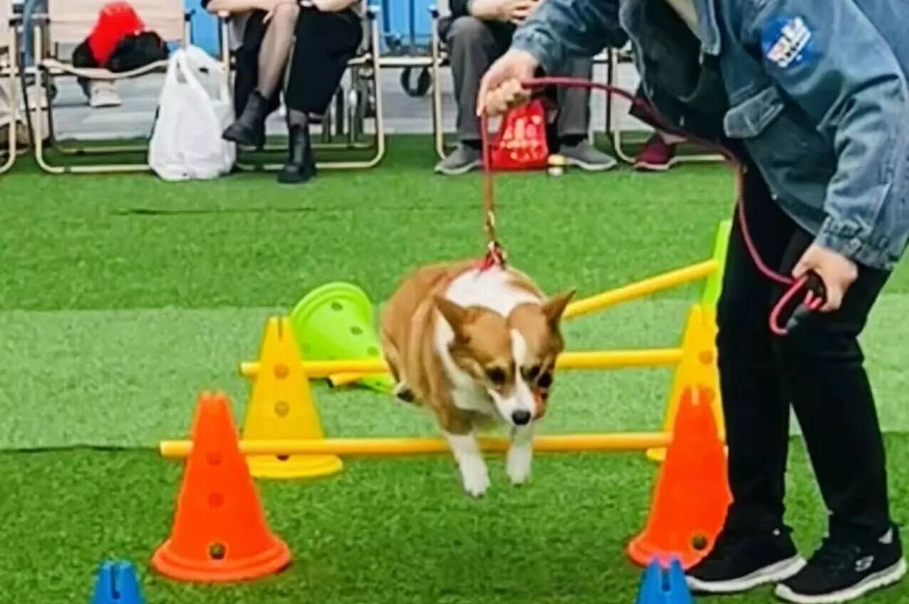 welcometo½Ó´ý¹âÁÙ888¼¯ÍÅ(Öйú)ÓÐÏÞ¹«Ë¾¹ÙÍø