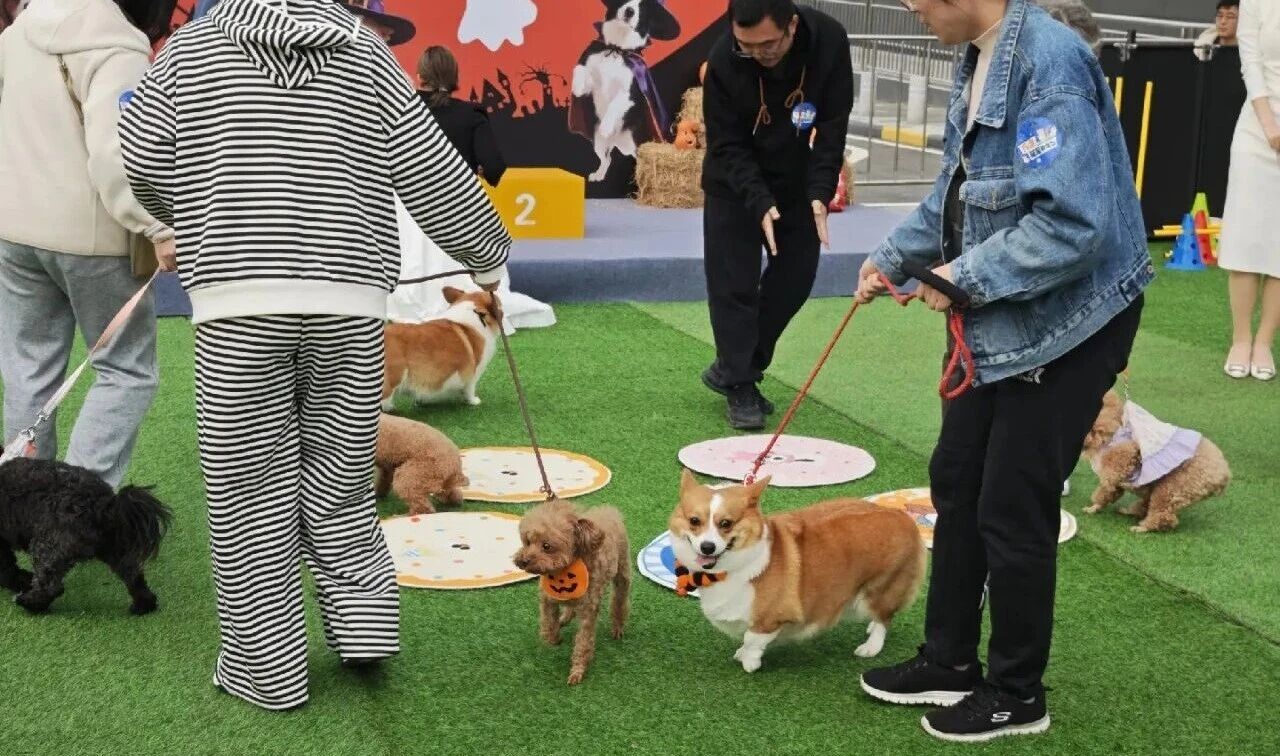 welcometo½Ó´ý¹âÁÙ888¼¯ÍÅ(Öйú)ÓÐÏÞ¹«Ë¾¹ÙÍø